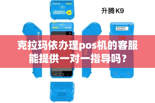 克拉玛依办理pos机的客服能提供一对一指导吗？