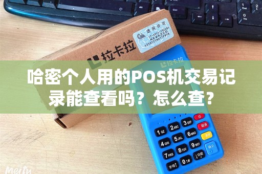 哈密个人用的POS机交易记录能查看吗？怎么查？