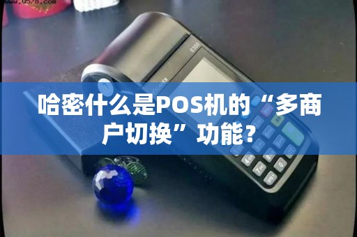 哈密什么是POS机的“多商户切换”功能？