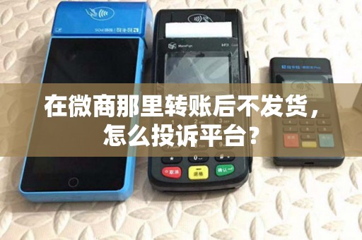 在微商那里转账后不发货，怎么投诉平台？