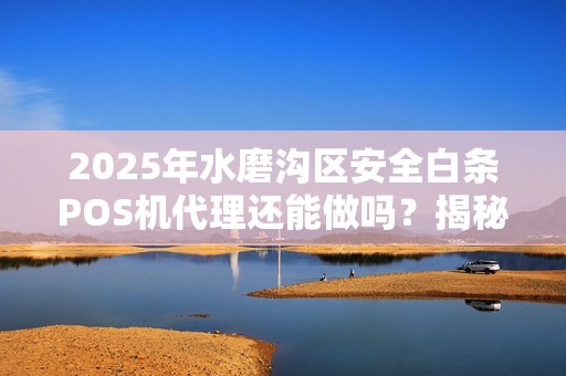 2025年水磨沟区安全白条POS机代理还能做吗？揭秘行业真相与未来趋势！