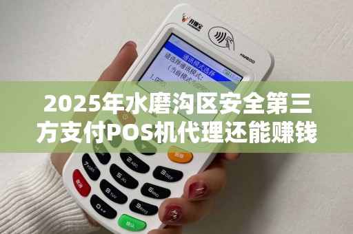 2025年水磨沟区安全第三方支付POS机代理还能赚钱吗？揭秘行业现状与未来趋势！