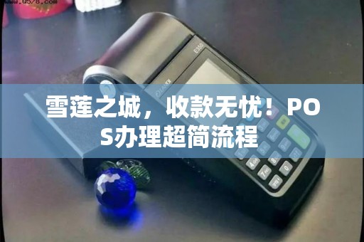 雪莲之城，收款无忧！POS办理超简流程 
