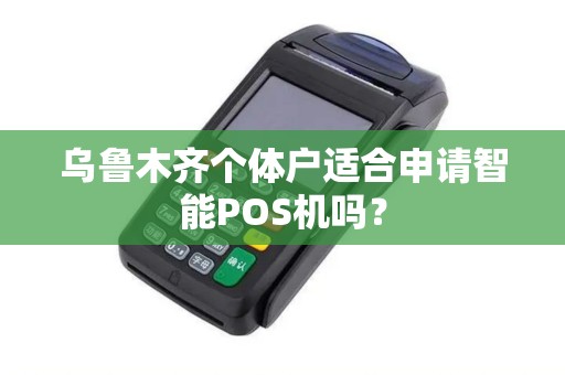 乌鲁木齐个体户适合申请智能POS机吗？