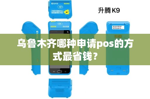 乌鲁木齐哪种申请pos的方式最省钱？