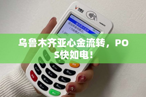 乌鲁木齐亚心金流转，POS快如电！