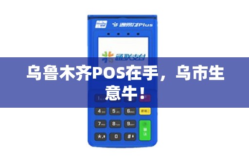 乌鲁木齐POS在手，乌市生意牛！