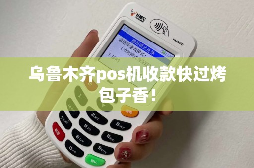 乌鲁木齐pos机收款快过烤包子香！