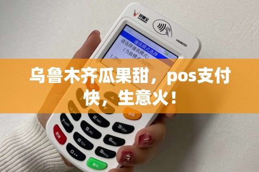 乌鲁木齐瓜果甜，pos支付快，生意火！