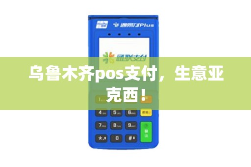 乌鲁木齐pos支付，生意亚克西！