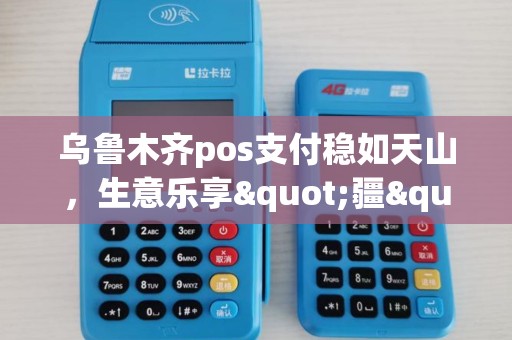 乌鲁木齐pos支付稳如天山，生意乐享"疆"来！
