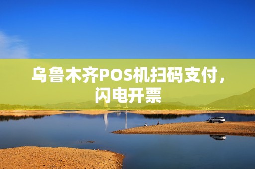 乌鲁木齐POS机扫码支付，闪电开票