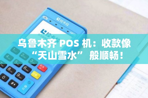 乌鲁木齐 POS 机：收款像 “天山雪水” 般顺畅！