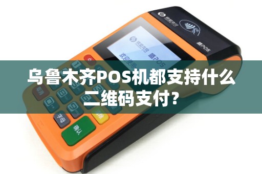 乌鲁木齐POS机都支持什么二维码支付？