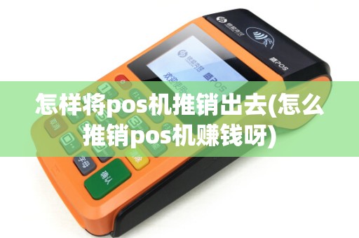 怎样将pos机推销出去(怎么推销pos机赚钱呀)