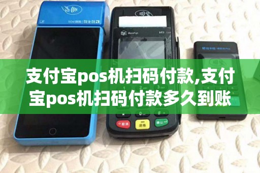 支付宝pos机扫码付款,支付宝pos机扫码付款多久到账