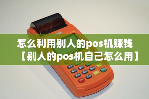 怎么利用别人的pos机赚钱【别人的pos机自己怎么用】
