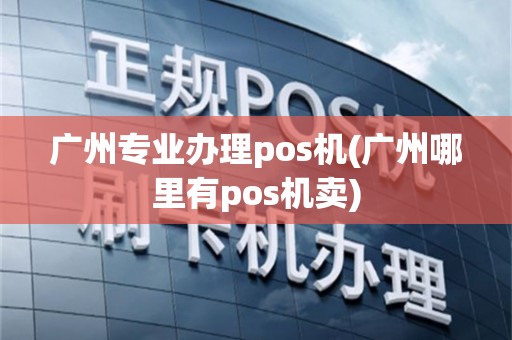 广州专业办理pos机(广州哪里有pos机卖)