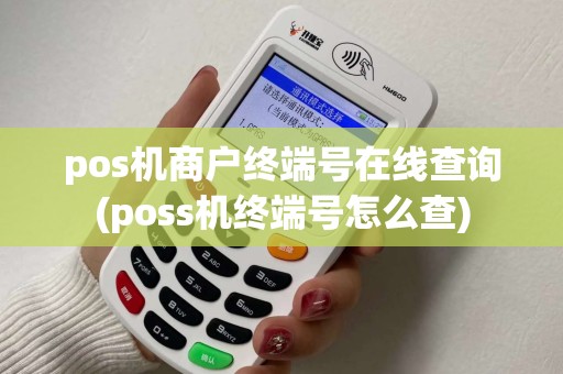 pos机商户终端号在线查询(poss机终端号怎么查)