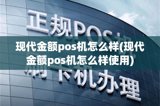 现代金额pos机怎么样(现代金额pos机怎么样使用)