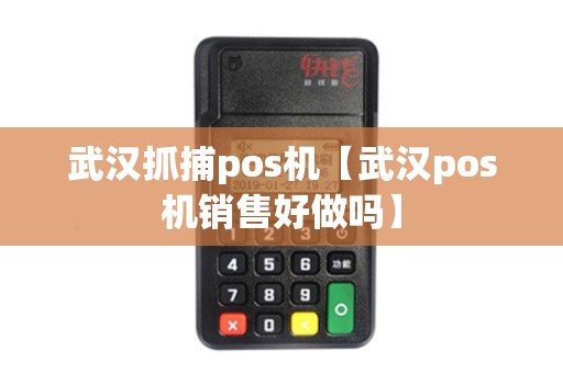 武汉抓捕pos机【武汉pos机销售好做吗】