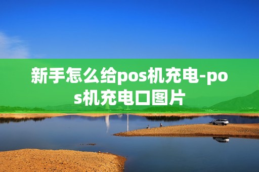 新手怎么给pos机充电-pos机充电口图片