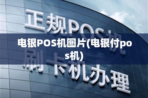电银POS机图片(电银付pos机)