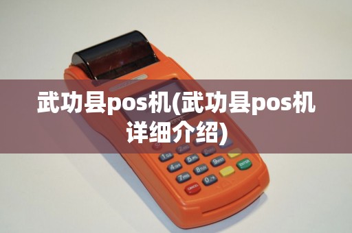 武功县pos机(武功县pos机详细介绍)
