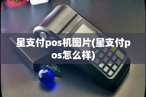 星支付pos机图片(星支付pos怎么样)