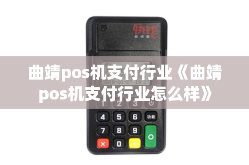 曲靖pos机支付行业《曲靖pos机支付行业怎么样》