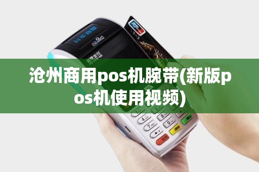 沧州商用pos机腕带(新版pos机使用视频)