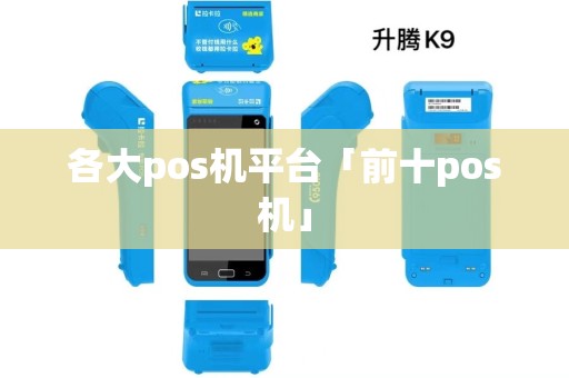 各大pos机平台「前十pos机」