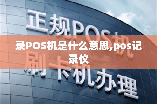 录POS机是什么意思,pos记录仪