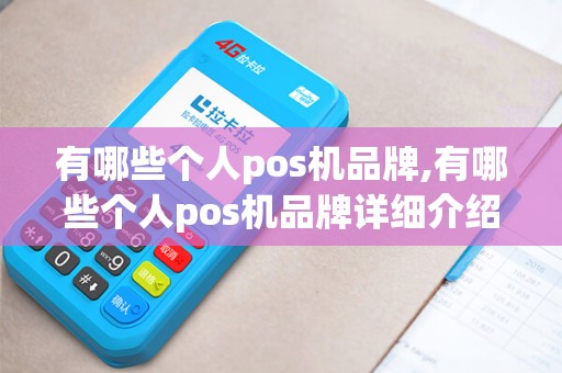 有哪些个人pos机品牌,有哪些个人pos机品牌详细介绍