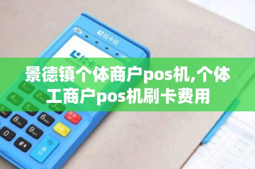 景德镇个体商户pos机,个体工商户pos机刷卡费用