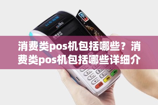 消费类pos机包括哪些？消费类pos机包括哪些详细介绍