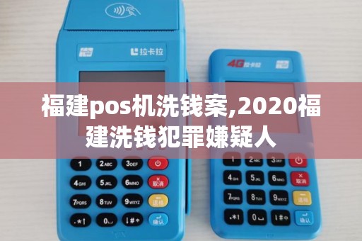 福建pos机洗钱案,2020福建洗钱犯罪嫌疑人