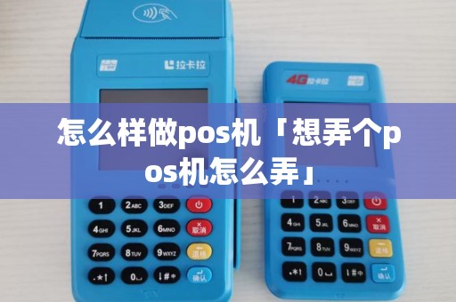 怎么样做pos机「想弄个pos机怎么弄」