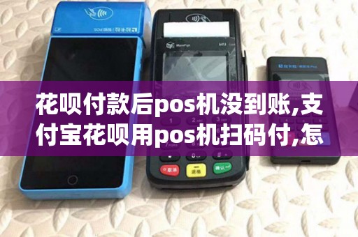 花呗付款后pos机没到账,支付宝花呗用pos机扫码付,怎么还没到账