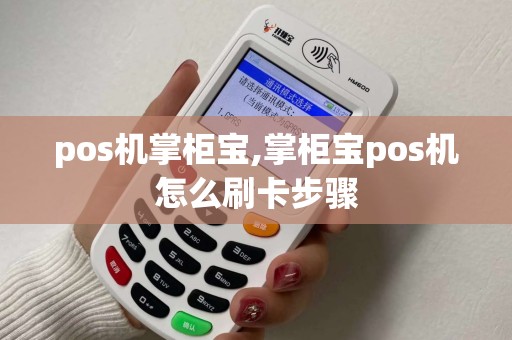 pos机掌柜宝,掌柜宝pos机怎么刷卡步骤