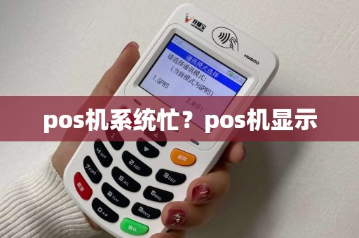 pos机系统忙？pos机显示