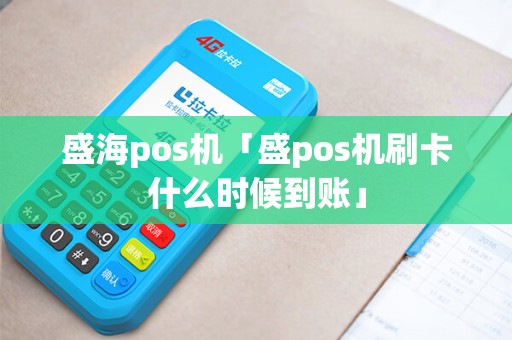 盛海pos机「盛pos机刷卡什么时候到账」