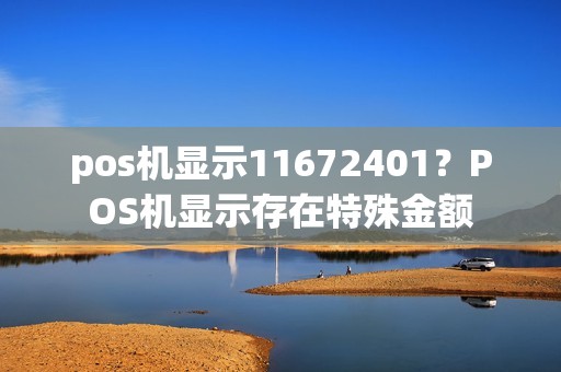 pos机显示11672401？POS机显示存在特殊金额