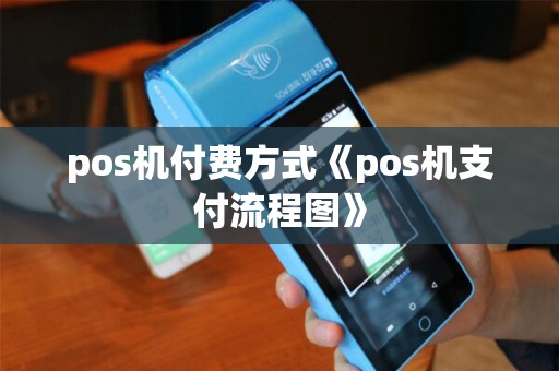 pos机付费方式《pos机支付流程图》