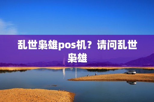 乱世枭雄pos机？请问乱世枭雄