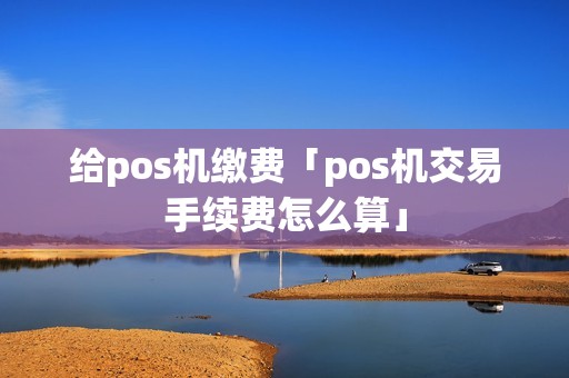 给pos机缴费「pos机交易手续费怎么算」