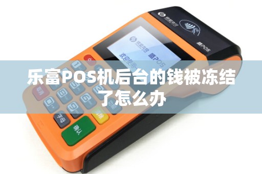 乐富POS机后台的钱被冻结了怎么办