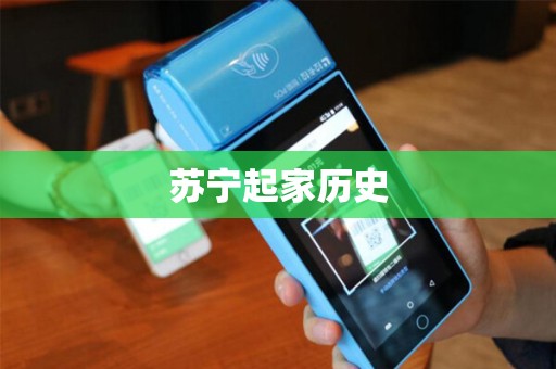 苏宁起家历史