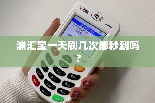 浦汇宝一天刷几次都秒到吗？
