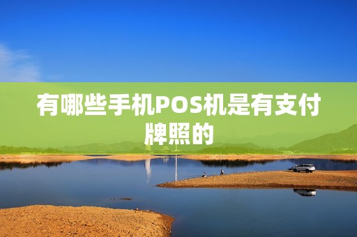 有哪些手机POS机是有支付牌照的
